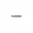 Calzedonia FR